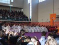 /album/jornadas-vicariais-da-fe/a246448-586013151417129-769548550-n-jpg/