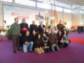 /album/jornadas-vicariais-da-fe/a524959-586013211417123-1565354369-n-jpg/